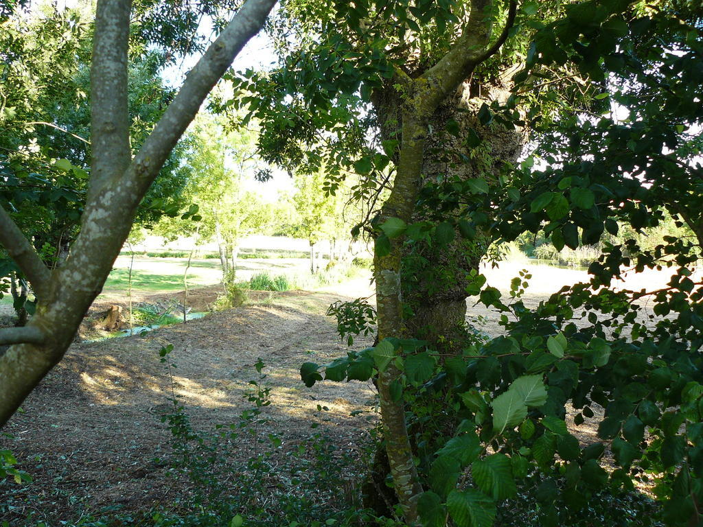 Villa Les Plénitudes du Rivage Saint-Vincent-sur-Jard Camera foto