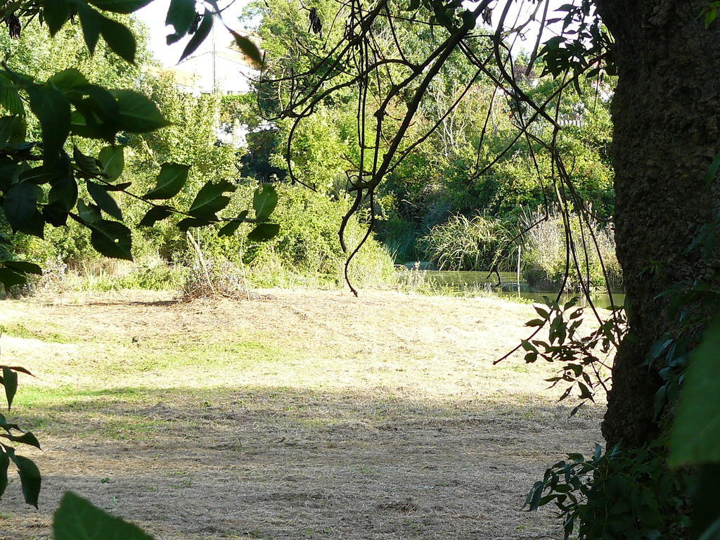 Villa Les Plénitudes du Rivage Saint-Vincent-sur-Jard Esterno foto