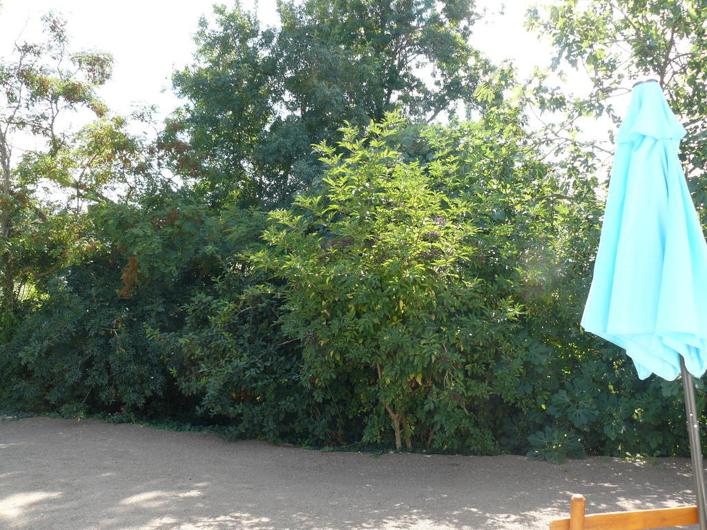 Villa Les Plénitudes du Rivage Saint-Vincent-sur-Jard Esterno foto